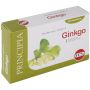 Estratto Secco di Ginkgo Biloba - 60 Compresse