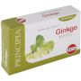 Estratto Secco di Ginkgo Biloba - 60 Compresse