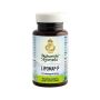 Lipomap P - Integratore Alimentare, 120 Compresse