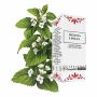 Melissa Lindas - Gocce di Tintura Madre 30ml
