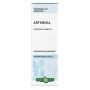 Soluzione di Artemisia V in Gocce, 50ml