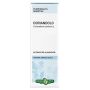Semi di Coriandolo Tintura Naturale 50ml