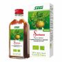 Succo di Sedano Biologico da 200ml