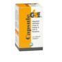 GSE 30 Count High Potency Capsules