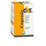 GSE Natural Dietary Supplement - 60 Capsule