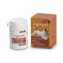 VigorPet - Integratore Nutrizionale per Cani con 20 Compresse