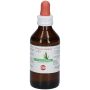 Macerato Glicerico di Ficus Carica 100ml - Estratto Naturale