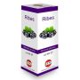 Ribes Nigrum Macerato Glicerico in Gocce - 100ml