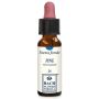 Essenza Floreale di Pino Erba Vita - 10ml