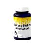 Chrysantellum Americanum - 60 Capsule di Supporto Naturale