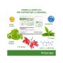 Brenstar Set di 7 Flaconcini da 10ml