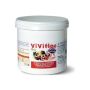 Viviflor Plus Polvere Nutrizionale 250g