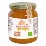 Miele Biologico di Fiori d'Arancio - 500g