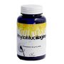 PhytoMucillagine Polvere Potenziata per la Salute Digestiva - 180g