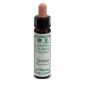 Ainsworths Gentian 10ml Herbal Remedy