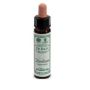 Ainsworths Hornbeam Essential Oil, 10ml