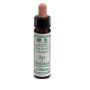 Ainsworths Star Of Bethlehem N°29 - 10ml Dr. Bach Flower Remedy