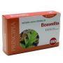 Estratto Secco di Boswellia - 60 Compresse