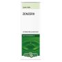 Erba Vita Zenzero - Olio Essenziale Puro 10ml