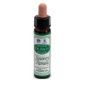 Ainsworths 10ml Recovery Remedy