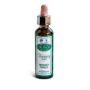 Ainsworths Recov Plus - Integratore Salutare - 20ml