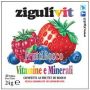 Zigulvit Confetti di Frutti di Bosco - Pacchetto da 40 Pezzi