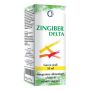Soluzione Idroalcolica di Zingiber Delta - 50ml