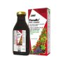 Floradix Ferro Liquido Supplemento Salutare, 500ml