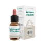 Ecosol Quintessenza Gocce di Eucalipto Puro 10ml
