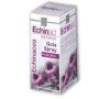 Echinaid Non-Alcoholic Throat Spray 20ml