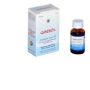 Ginesol Soluzione Liquida per l'Intestino - 10ml