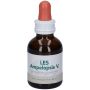 Gocce di Les Ampelopsis Weitchii - Supplemento Naturale