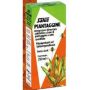 Salus Piantaggine Estratto Liquido Naturale 250ml