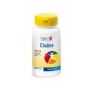 Longlife Choline - 100 Tavolette per il Sostegno Cognitivo