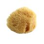 Spugna Naturale di Dimensione Media - 1 Pezzo