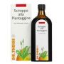 Soluzione Orale Piantaggine Dr Theiss 250ml