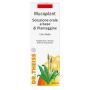Soluzione Orale Piantaggine Dr Theiss 250ml