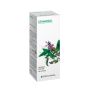 Specchiasol Gemmosol 36 - Estratto di Ribes Nero, 50ml