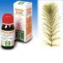 Specchiasol Equiseto 12 Soluzione Idroalcolica, 50ml