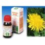 Specchiasol Tarassaco - Soluzione Idroalcolica 50ml