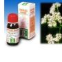 Specchiasol Soluzione Idroalcolica di Valeriana 50ml - 36 Dosi