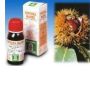 Specchiasol Agnocasto 53 - Soluzione Idroalcolica Naturale, 50ml