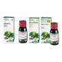 Specchiasol Soluzione Idroalcolica di Ginkgo Biloba 50ml