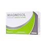 Magnosol Effervescenti in Bustine da 20 Pezzi