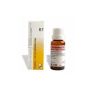 Dr. Reckeweg R7 Gocce per la Salute del Fegato - 22ml