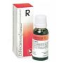Gocce Reckeweg R28 - Soluzione Omeopatica da 22ml