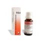Gocce Reckeweg R54 - Flacone da 22ml