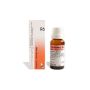 Gocce Reckeweg R6 - Soluzione Omeopatica da 50ml