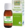 Tintura Madre Boiron Aesculus Hippocastanum 60ml