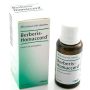 Heel Berberis Homaccord 30ml - Gocce Omeopatiche